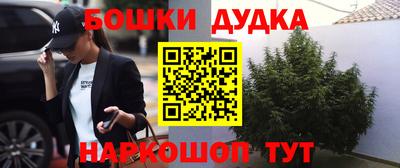 apvp Камышлов