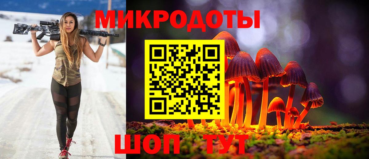 Псилоцибиновые грибы мицелий Кудымкар